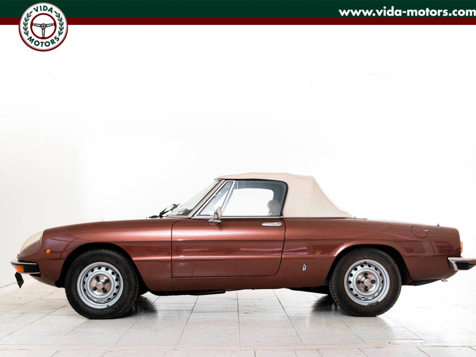 Bild 5/15 von Alfa Romeo 1600 Spider (1981)