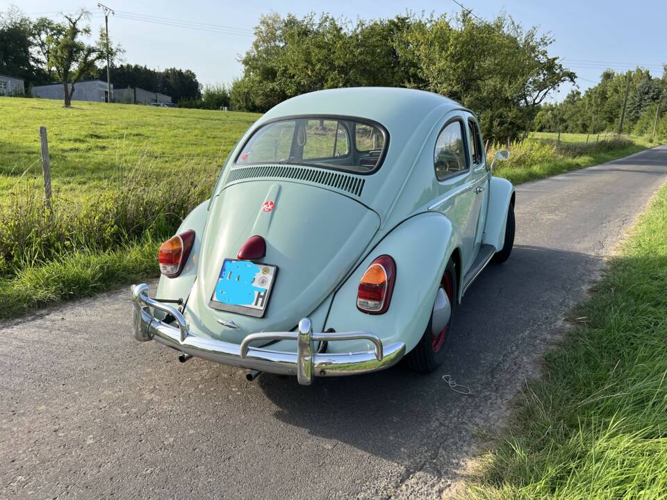 Bild 3/9 von Volkswagen Käfer 1200 (1964)