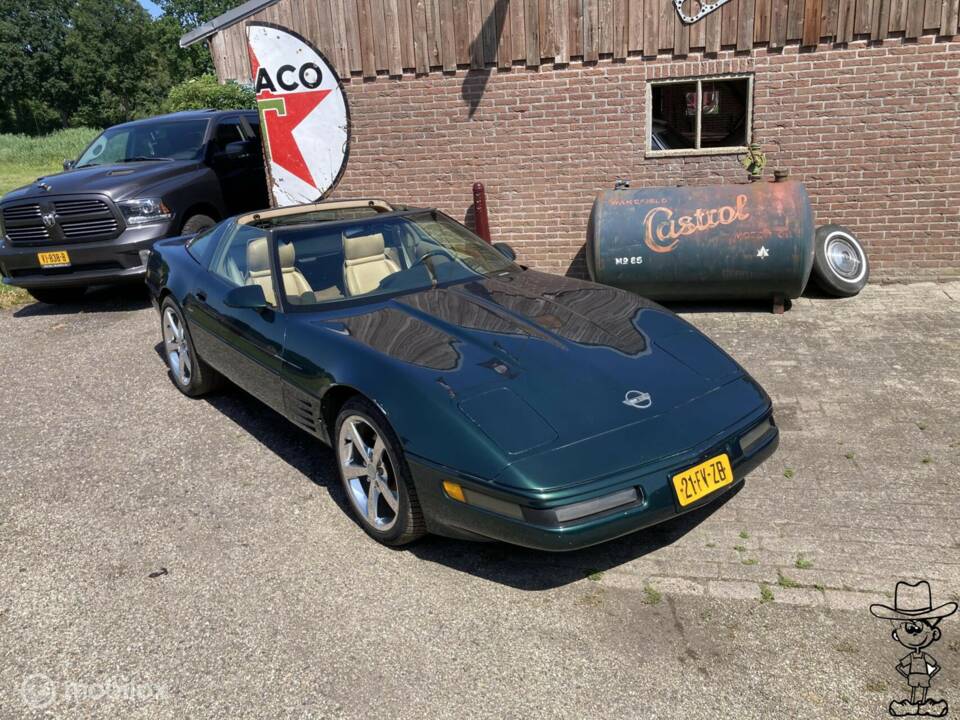 Immagine 26/29 di Chevrolet Corvette (1992)