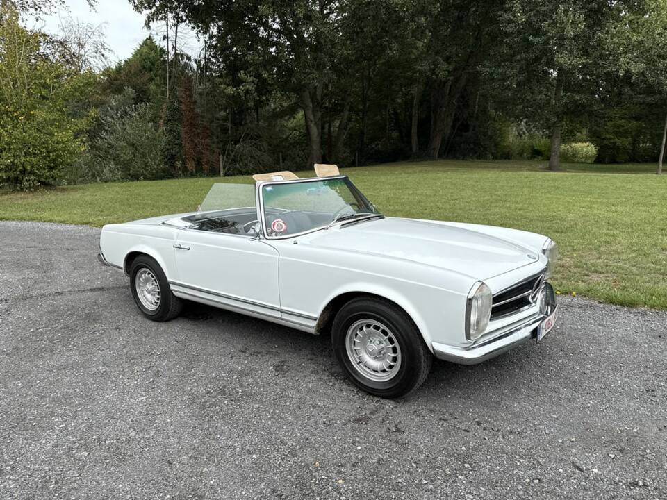 Immagine 1/8 di Mercedes-Benz 230 SL (1965)
