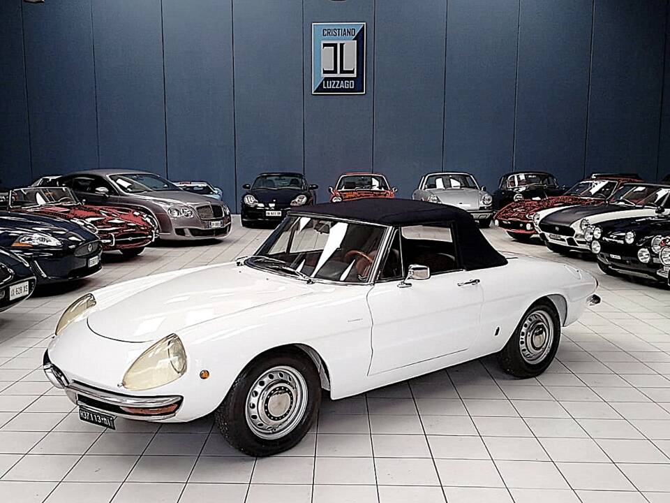 Bild 6/52 von Alfa Romeo 1750 Spider (1969)