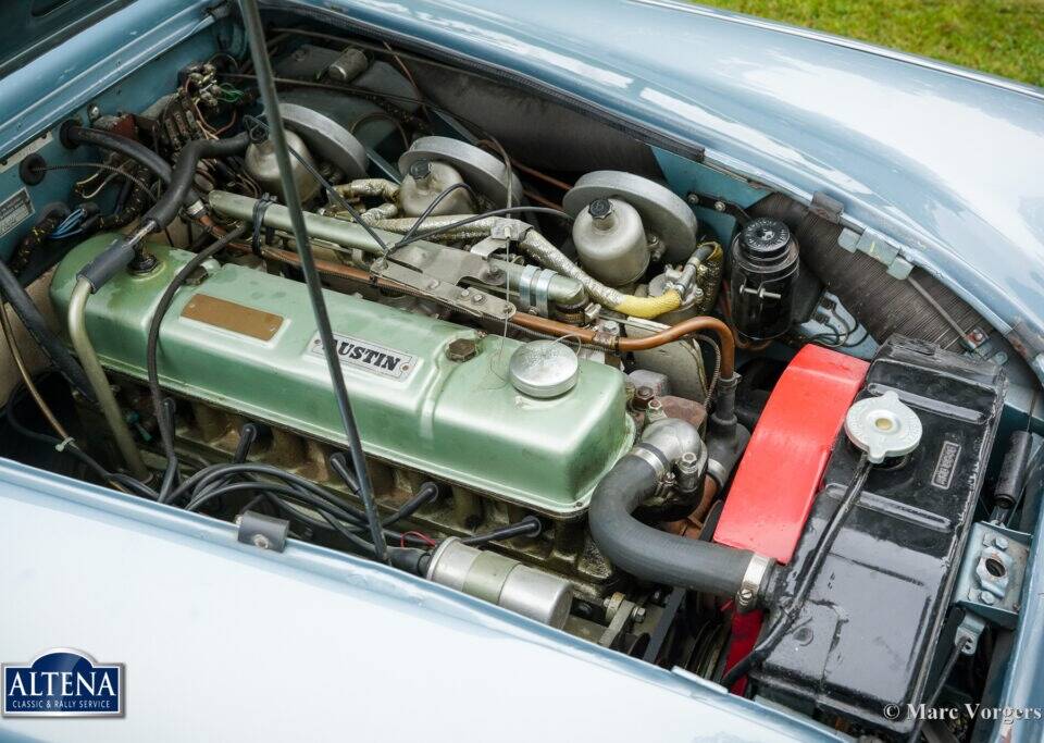 Immagine 38/44 di Austin-Healey 3000 Mk II (BN7) (1962)