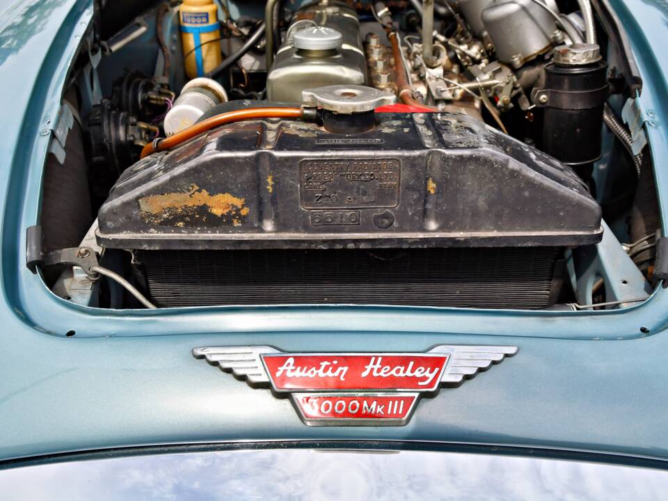 Bild 19/61 von Austin-Healey 3000 Mk III (BJ8) (1965)