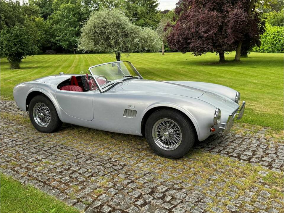 Bild 4/24 von AC Cobra 289 (2001)