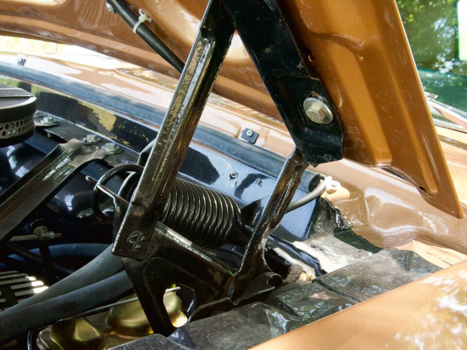 Afbeelding 41/58 van Ford Mustang 289 (1967)