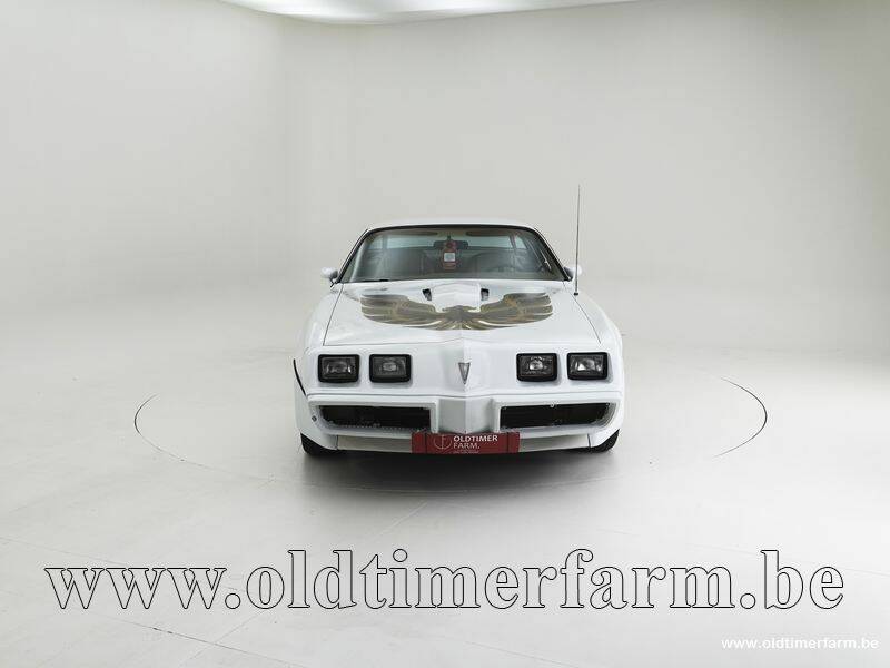 Afbeelding 5/15 van Pontiac Firebird Turbo TransAm (1981)