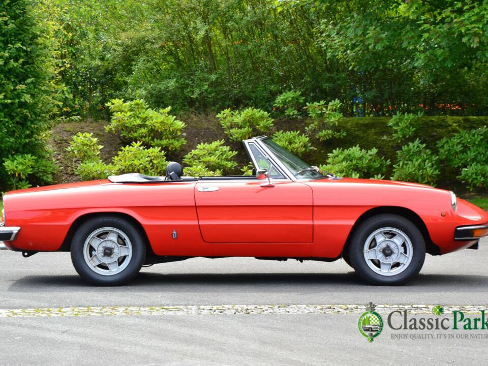 Imagen 6/50 de Alfa Romeo 2000 Spider Veloce (1981)