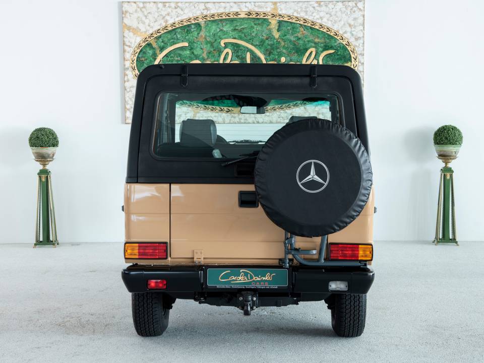 Bild 10/50 von Mercedes-Benz 300 GE (kurz) (1990)