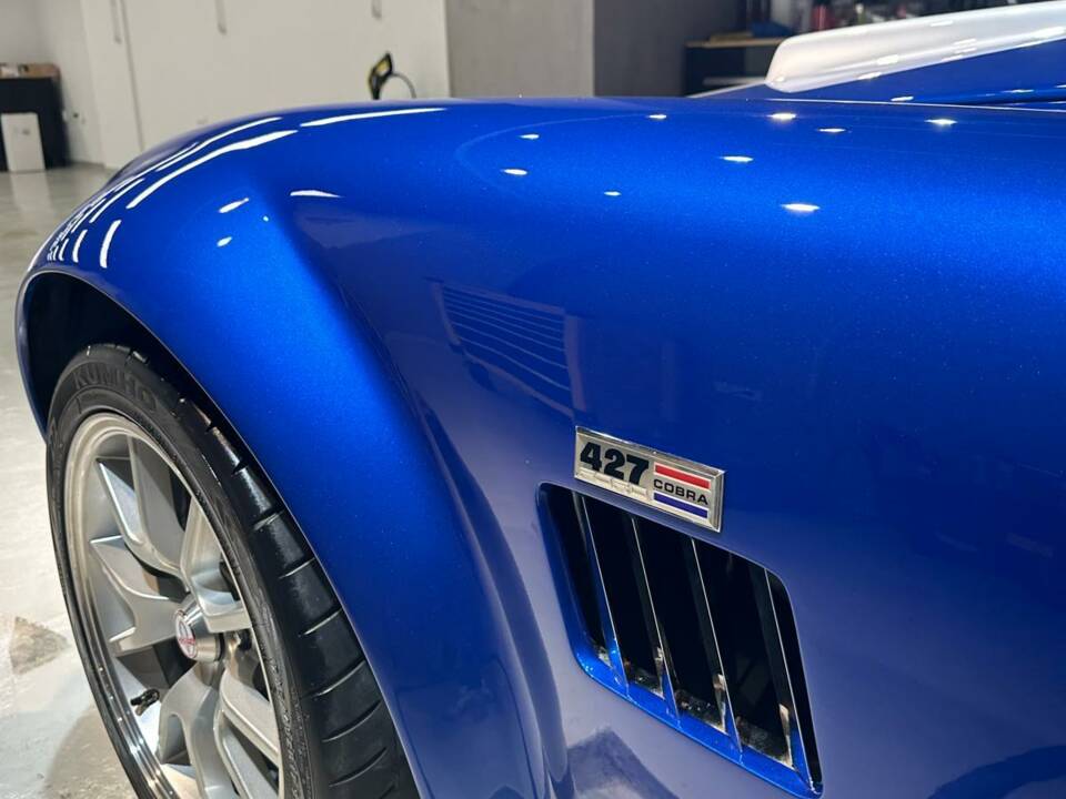 Image 7/18 of AC Cobra (2011)