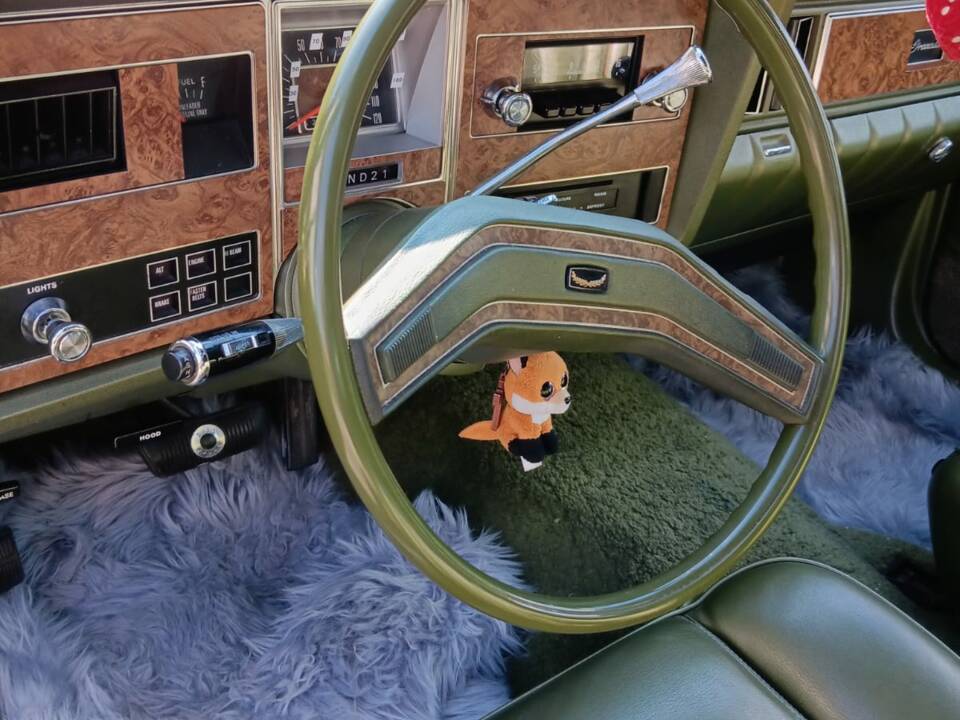 Bild 53/62 von Ford Granada (US) (1975)