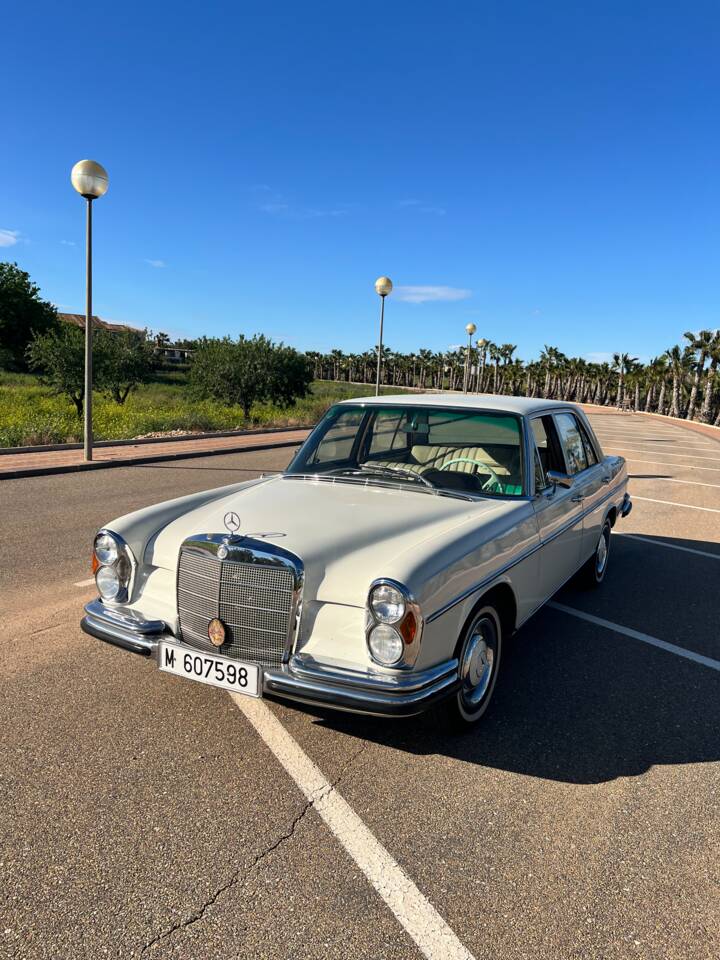 Afbeelding 2/50 van Mercedes-Benz 250 SE (1967)