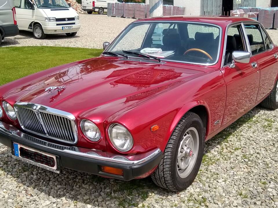Image 1/14 of Jaguar XJ 12 (1981)