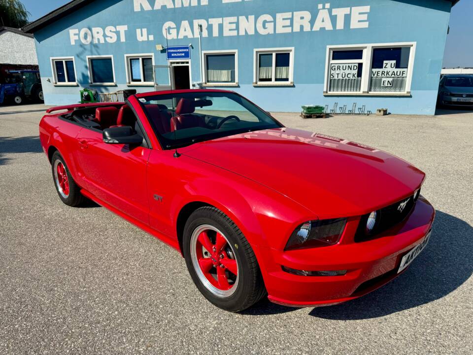 Bild 16/20 von Ford Mustang GT (2006)