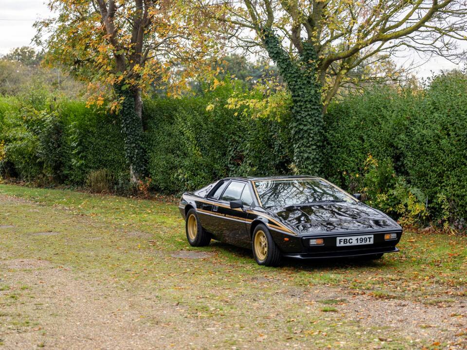 Immagine 24/50 di Lotus Esprit S2 (1979)