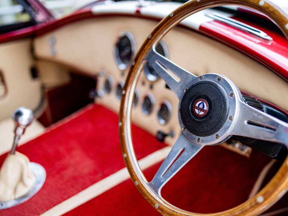 Afbeelding 49/50 van AC Cobra 289 (2000)