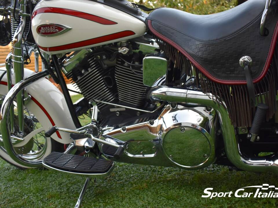 Immagine 16/50 di Harley-Davidson FLSTS 1340 Heritage Springer (1998)