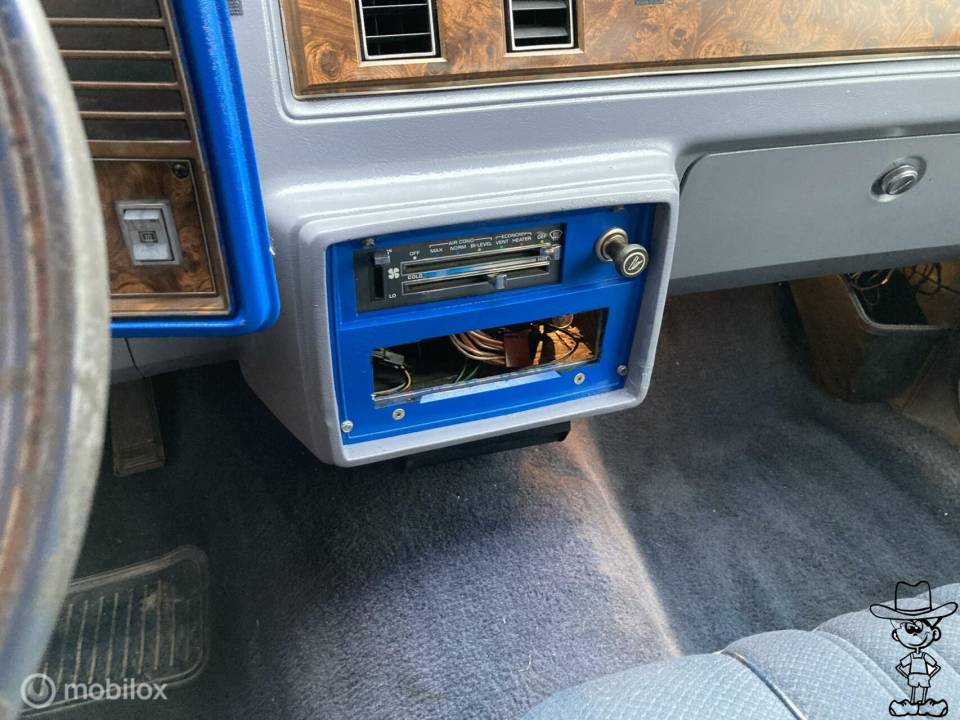Image 20/31 de Chevrolet Malibu Wagon (1981)