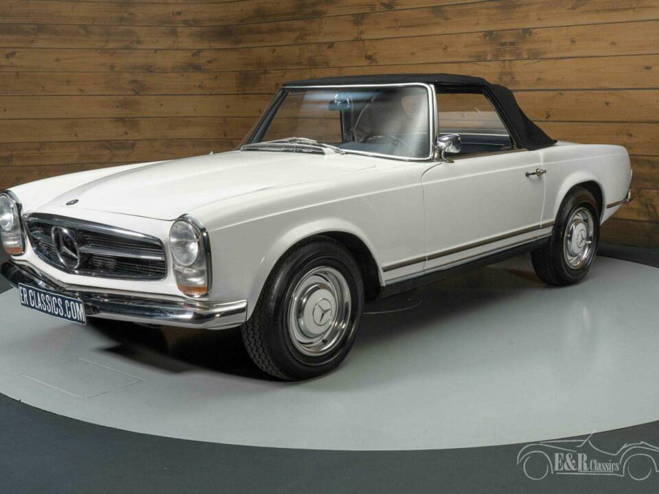 Immagine 6/19 di Mercedes-Benz 230 SL (1964)