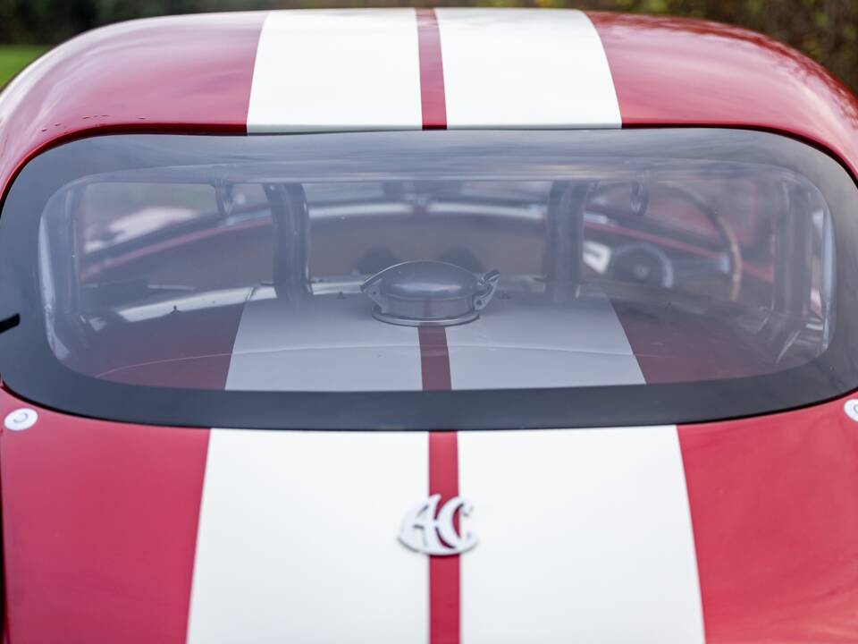 Afbeelding 30/50 van AC Cobra 289 (2000)