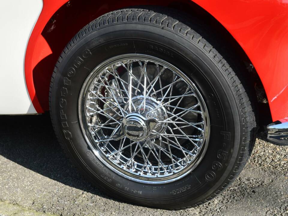 Immagine 8/8 di Austin-Healey 3000 Mk II (BJ7) (1963)