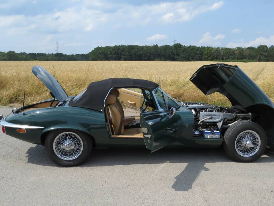 Image 20/50 of Jaguar E-Type V12 (1974)