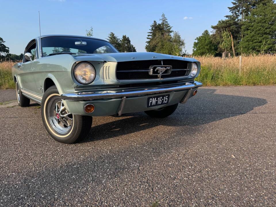 Immagine 7/25 di Ford Mustang 200 (1965)