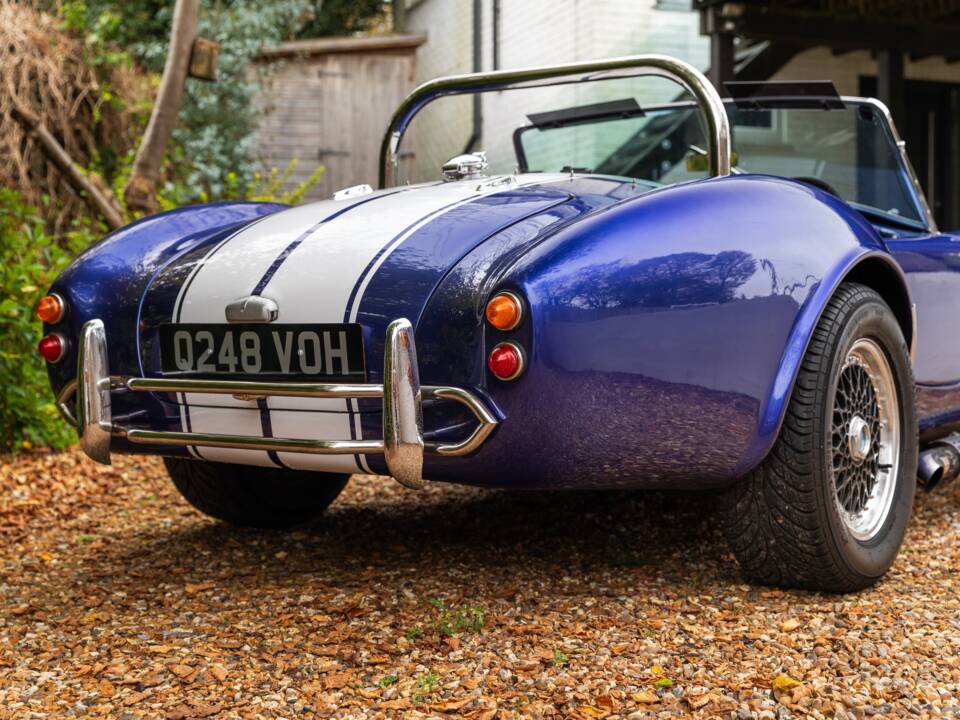 Bild 24/50 von AC Cobra 289 (1997)