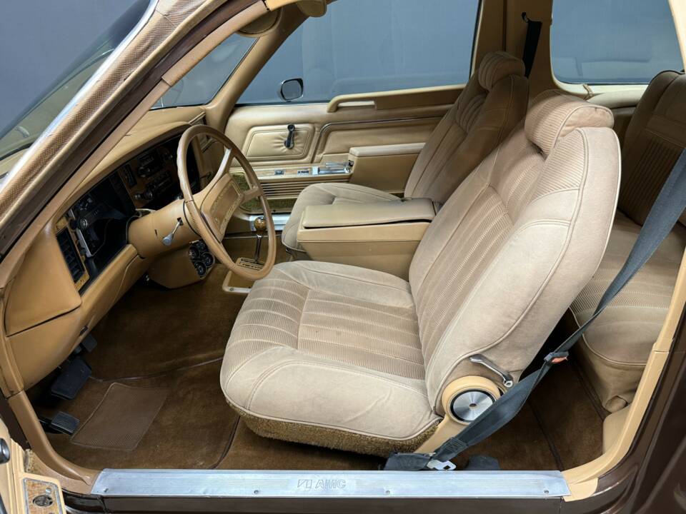 Image 14/50 of AMC Pacer (1982)
