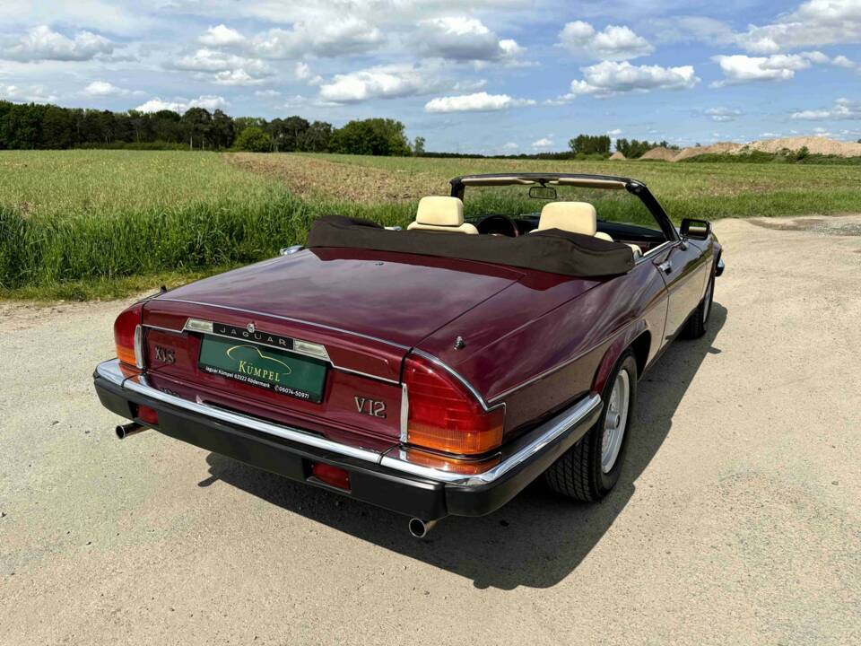 Bild 6/50 von Jaguar XJS 5.3 V12 (1989)