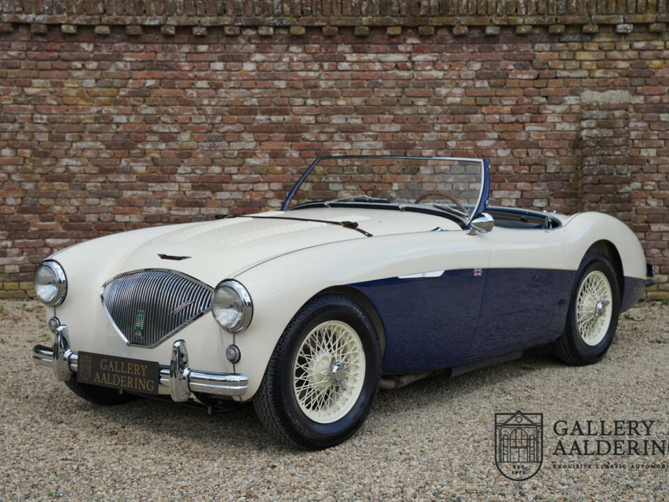 Immagine 16/50 di Austin-Healey 100&#x2F;4 (BN1) (1954)