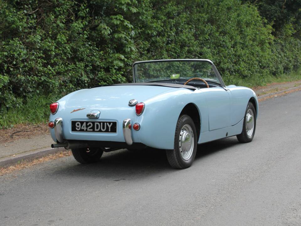 Immagine 6/15 di Austin-Healey Sprite Mk I (1960)