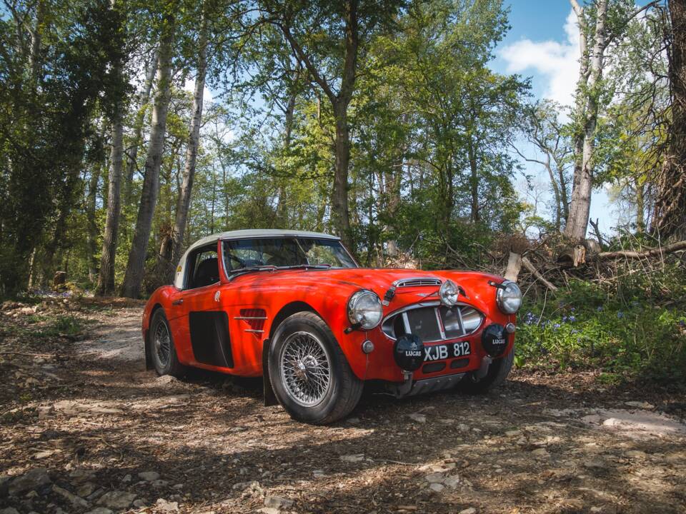 Bild 10/34 von Austin-Healey 3000 Mk I (BT7) (1960)