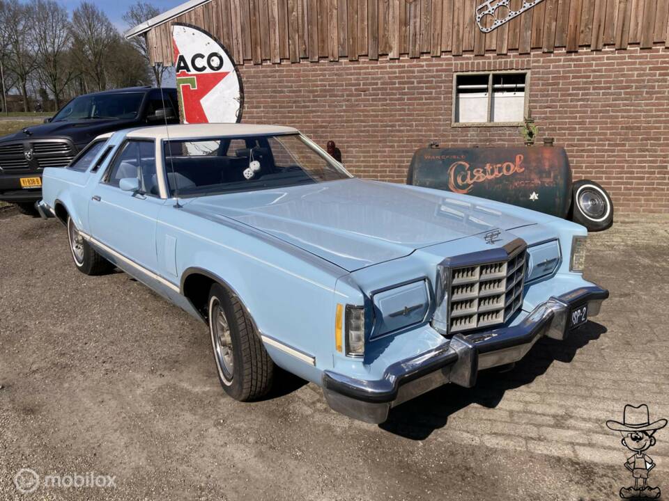 Afbeelding 1/29 van Ford Thunderbird (1979)