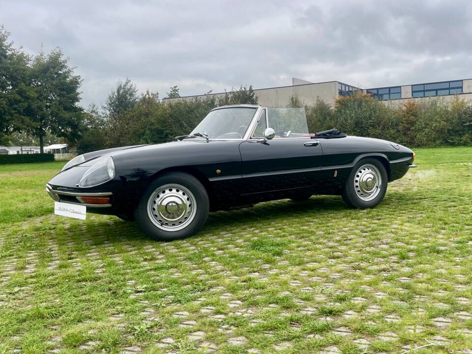 Bild 13/24 von Alfa Romeo 1600 Duetto (1966)