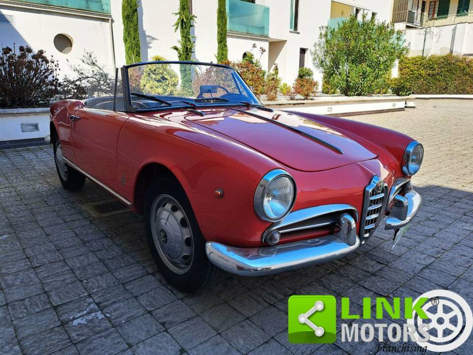 Afbeelding 4/10 van Alfa Romeo Giulietta Spider (1961)