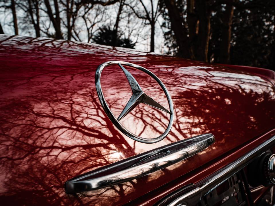 Image 12/50 of Mercedes-Benz 230 SL (1966)