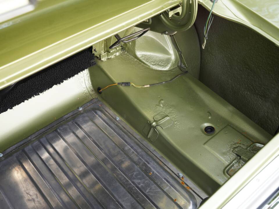 Afbeelding 29/50 van Ford Shelby GT 350 (1968)