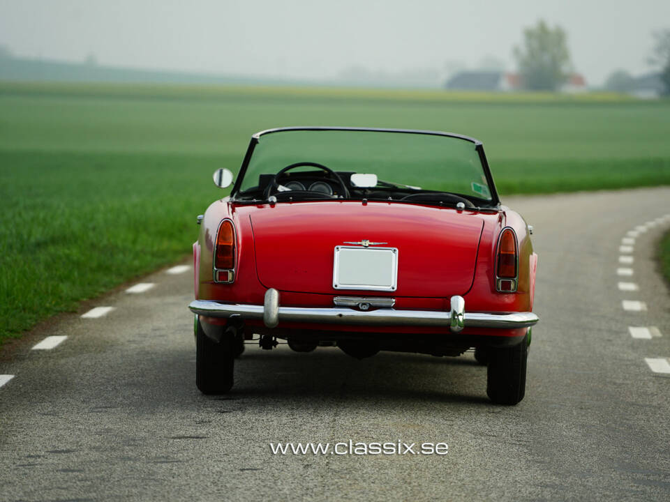 Afbeelding 19/20 van Alfa Romeo 2000 Spider (1958)