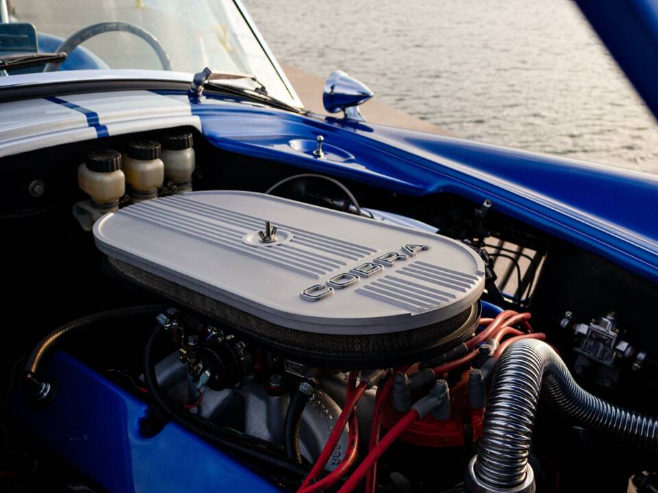 Image 16/18 of AC Cobra (2011)