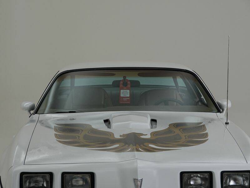 Bild 11/15 von Pontiac Firebird Turbo TransAm (1981)