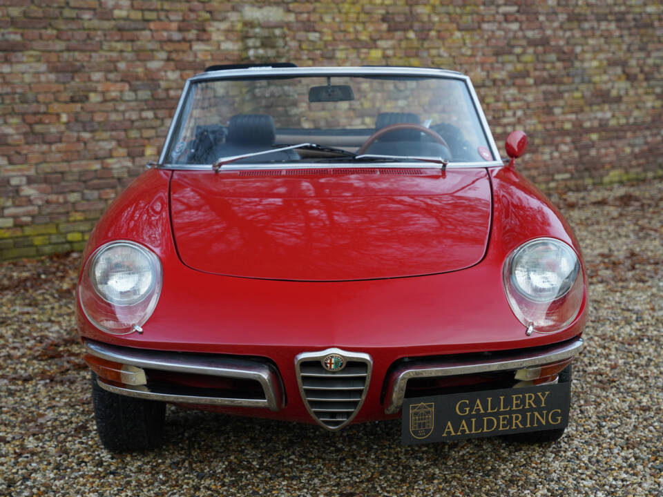 Bild 5/50 von Alfa Romeo 1600 Duetto (1967)