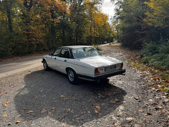 Bild 5/10 von Jaguar XJ 12 (1989)