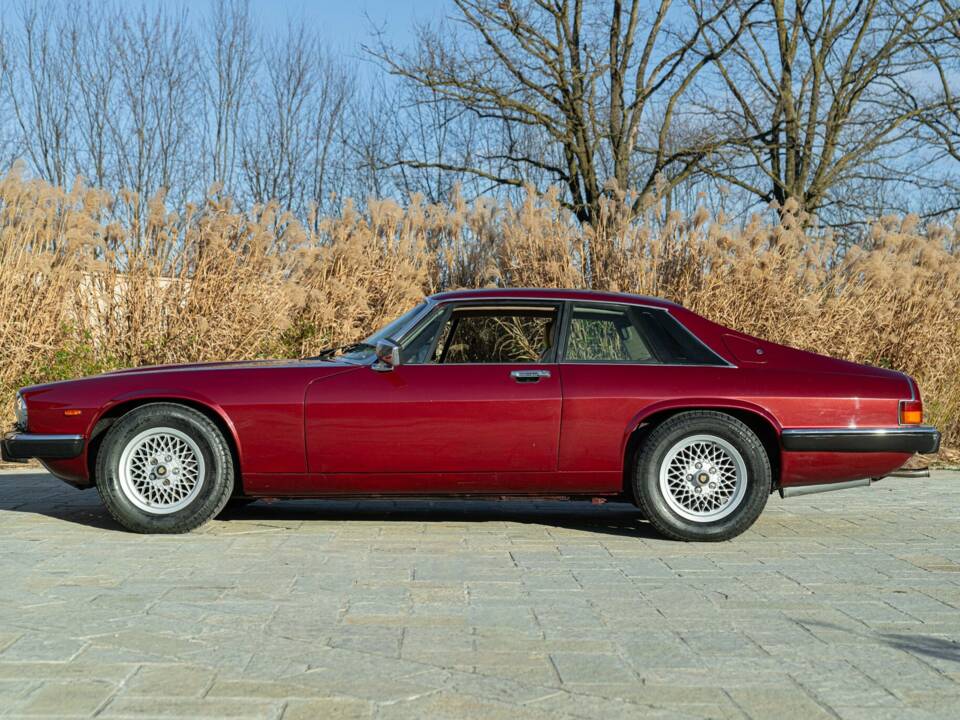 Bild 4/50 von Jaguar XJ-S 3.6 (1988)