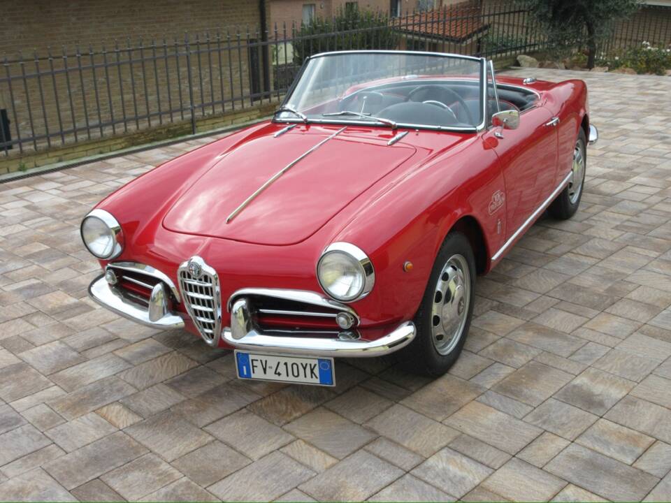 Bild 1/57 von Alfa Romeo Giulietta Spider (1961)