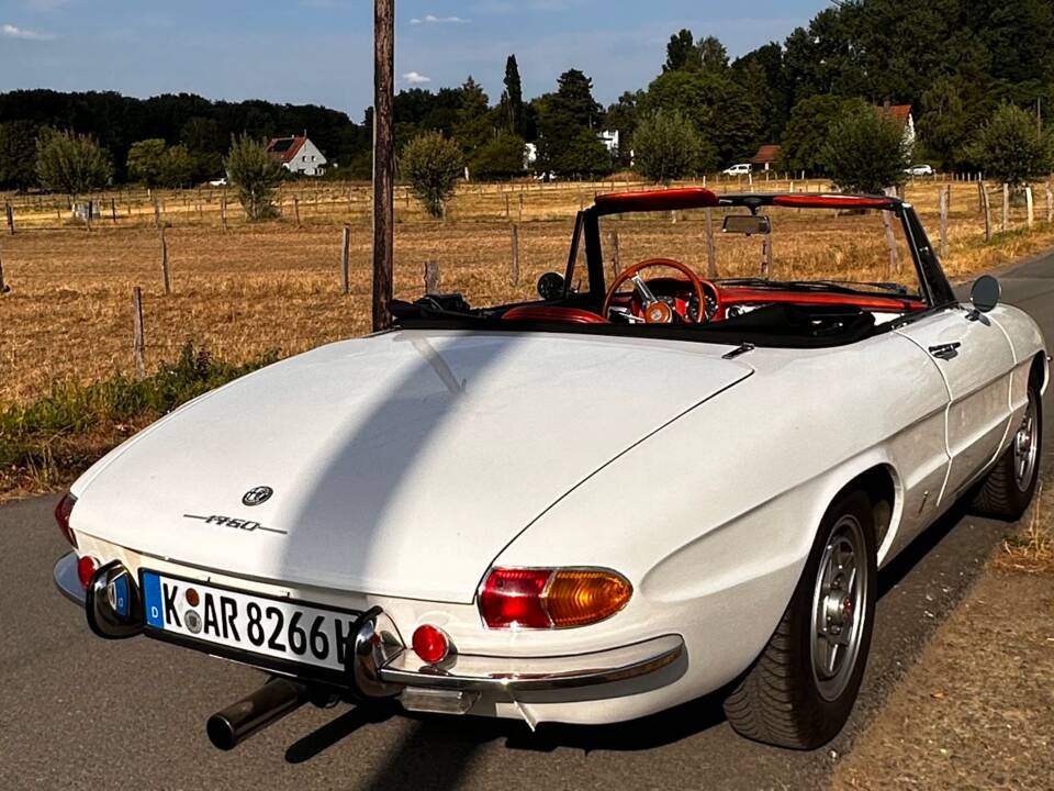 Afbeelding 8/19 van Alfa Romeo 1750 Spider (1969)