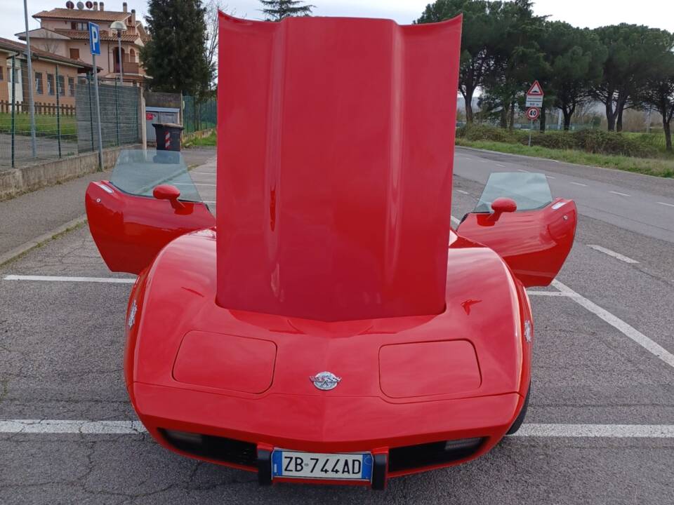 Imagen 10/12 de Chevrolet Corvette 25th Anniversary (1978)