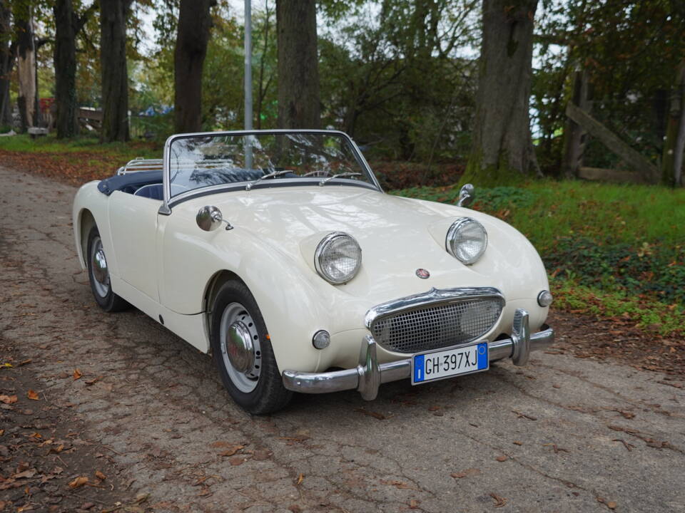 Imagen 5/25 de Austin-Healey Sprite Mk I (1959)