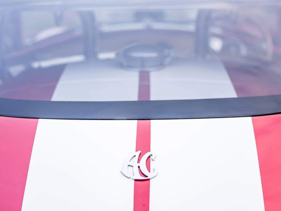 Afbeelding 27/50 van AC Cobra 289 (2000)