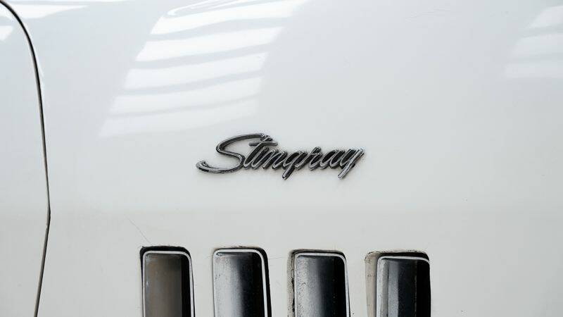 Bild 10/15 von Chevrolet Corvette Stingray (1969)