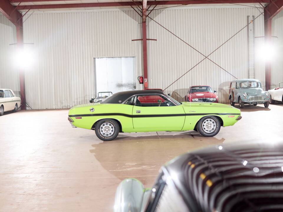 Immagine 5/71 di Dodge Challenger R/T (1970)